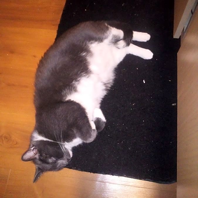 Photo of Storm