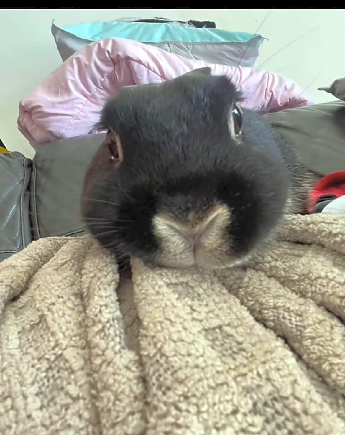 Photo of Mr. Tea