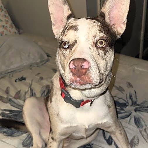 Photo of Kratos Love