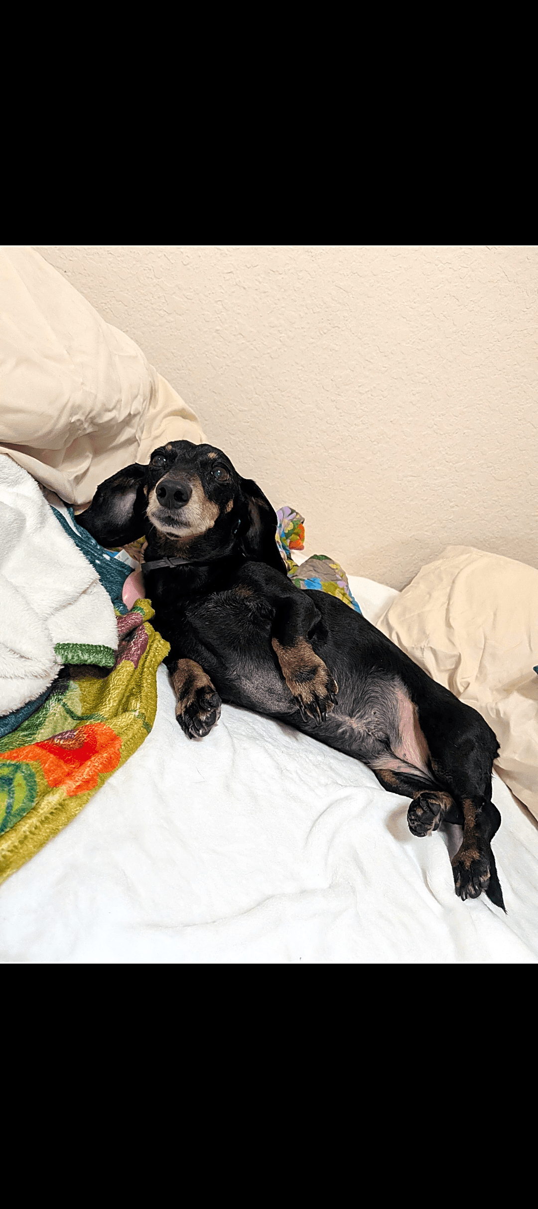 Photo of Pixie Lee