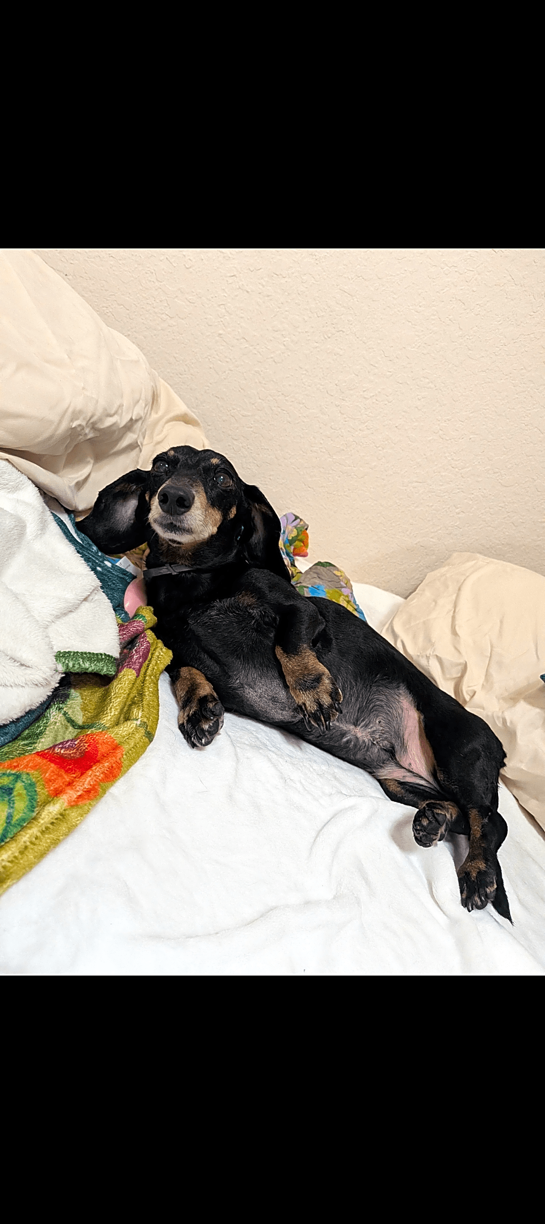 Photo of Pixie Lee