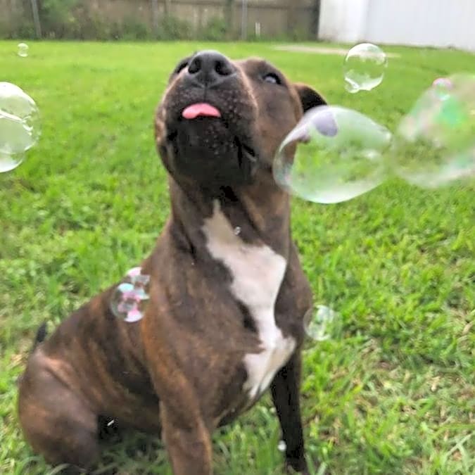 Photo of Freyja