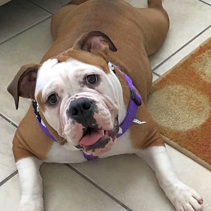 Photo of Chanel