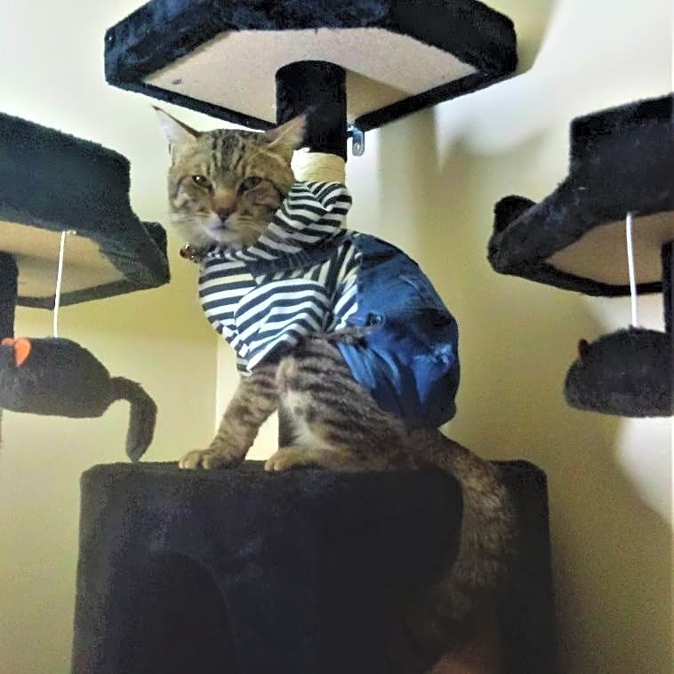 Photo of Fendi