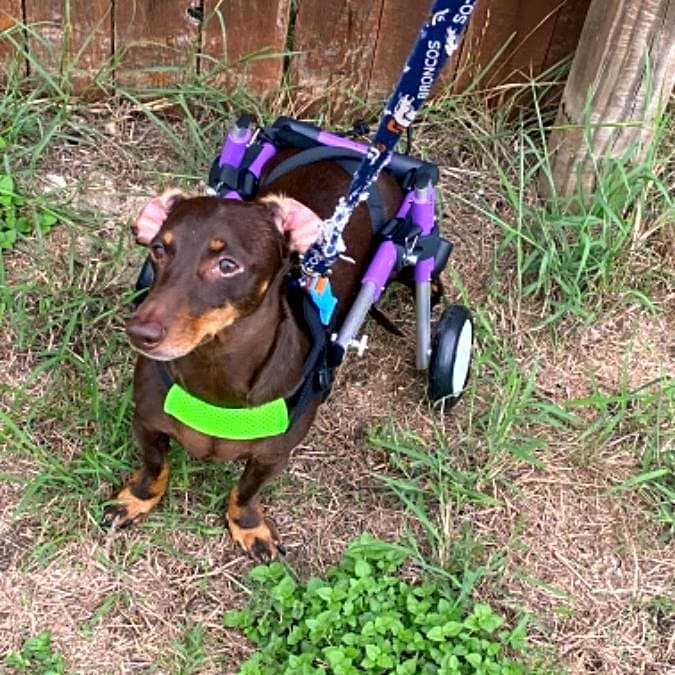 Photo of Bentley