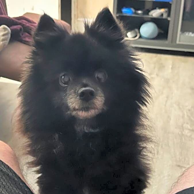 Photo of Coal