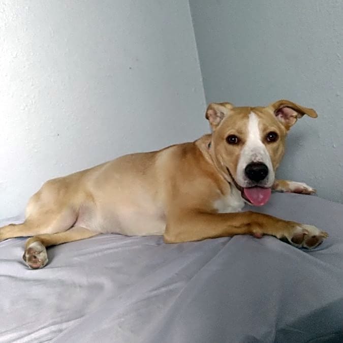 Photo of Ava Marie