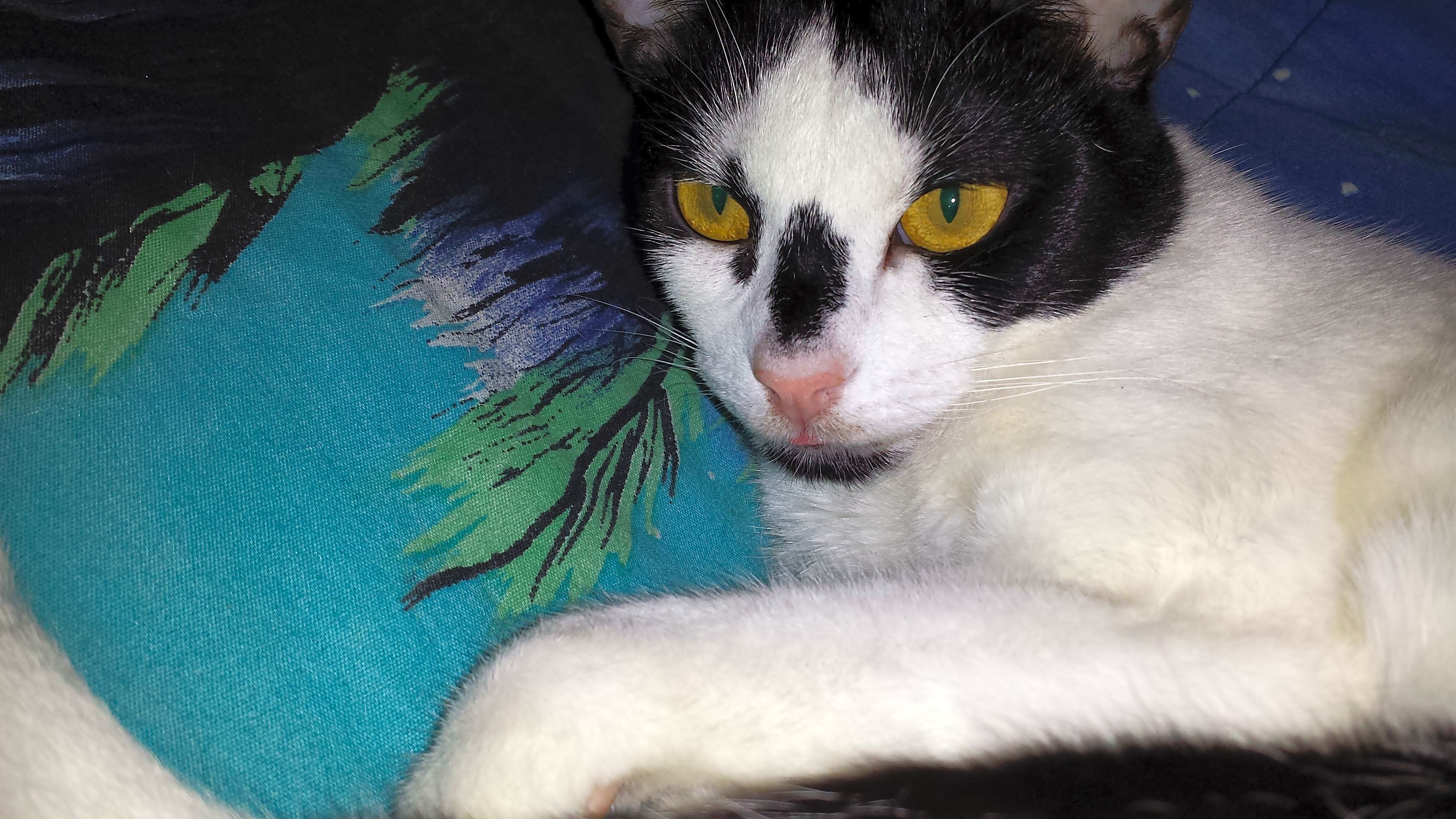 Photo of Lucy