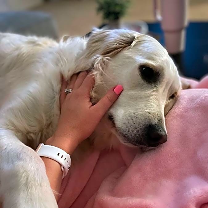 Photo of Toby