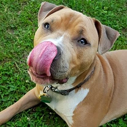 Photo of JAX