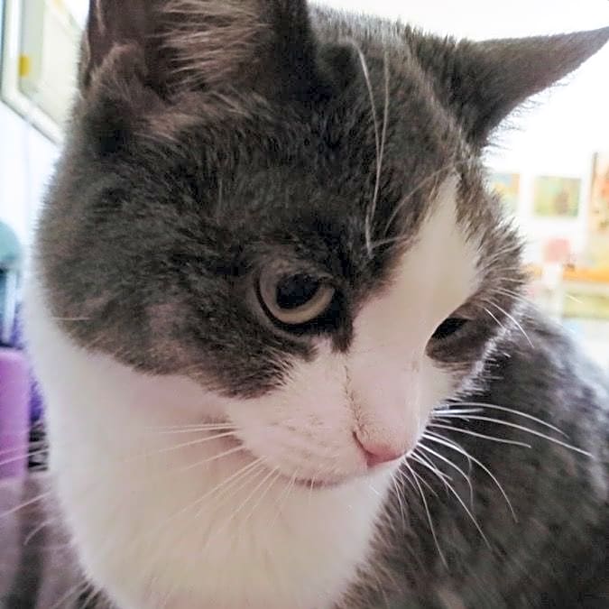 Photo of Choebe Ann