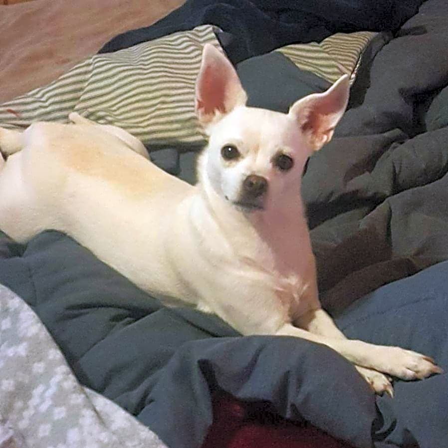 Photo of Lucy
