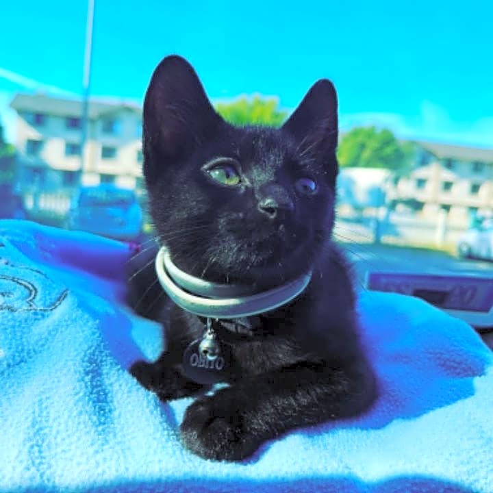 Photo of Obito