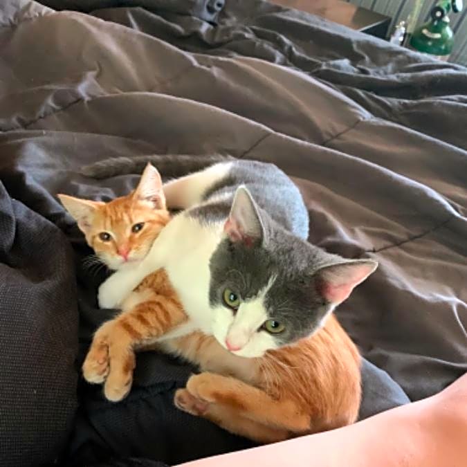 Photo of Nikki & Holli