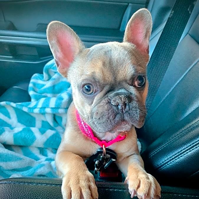 Photo of Maggie