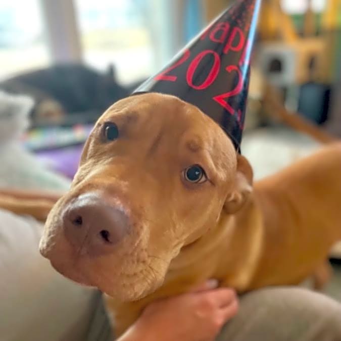 Photo of Oakley