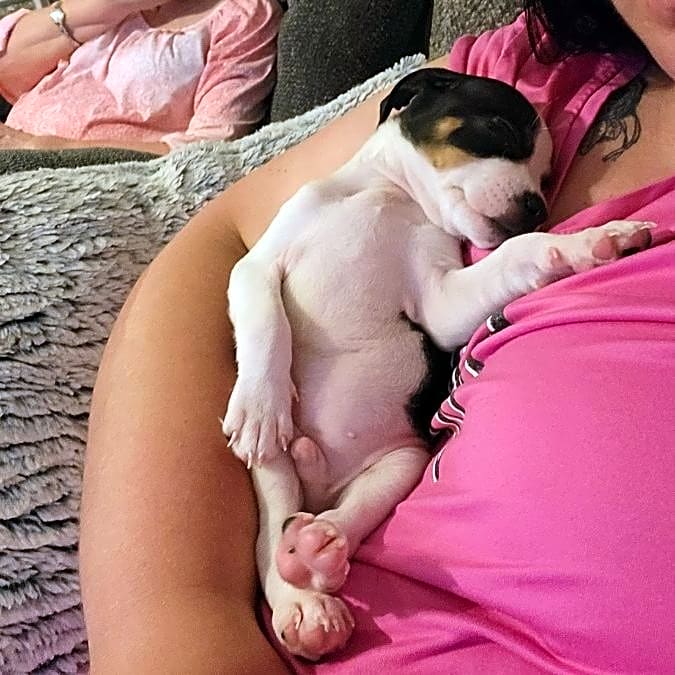 Photo of Jax