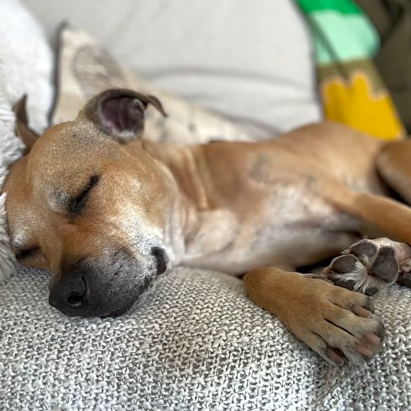 Photo of Junie