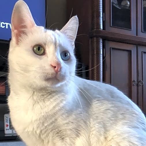 Photo of Slim