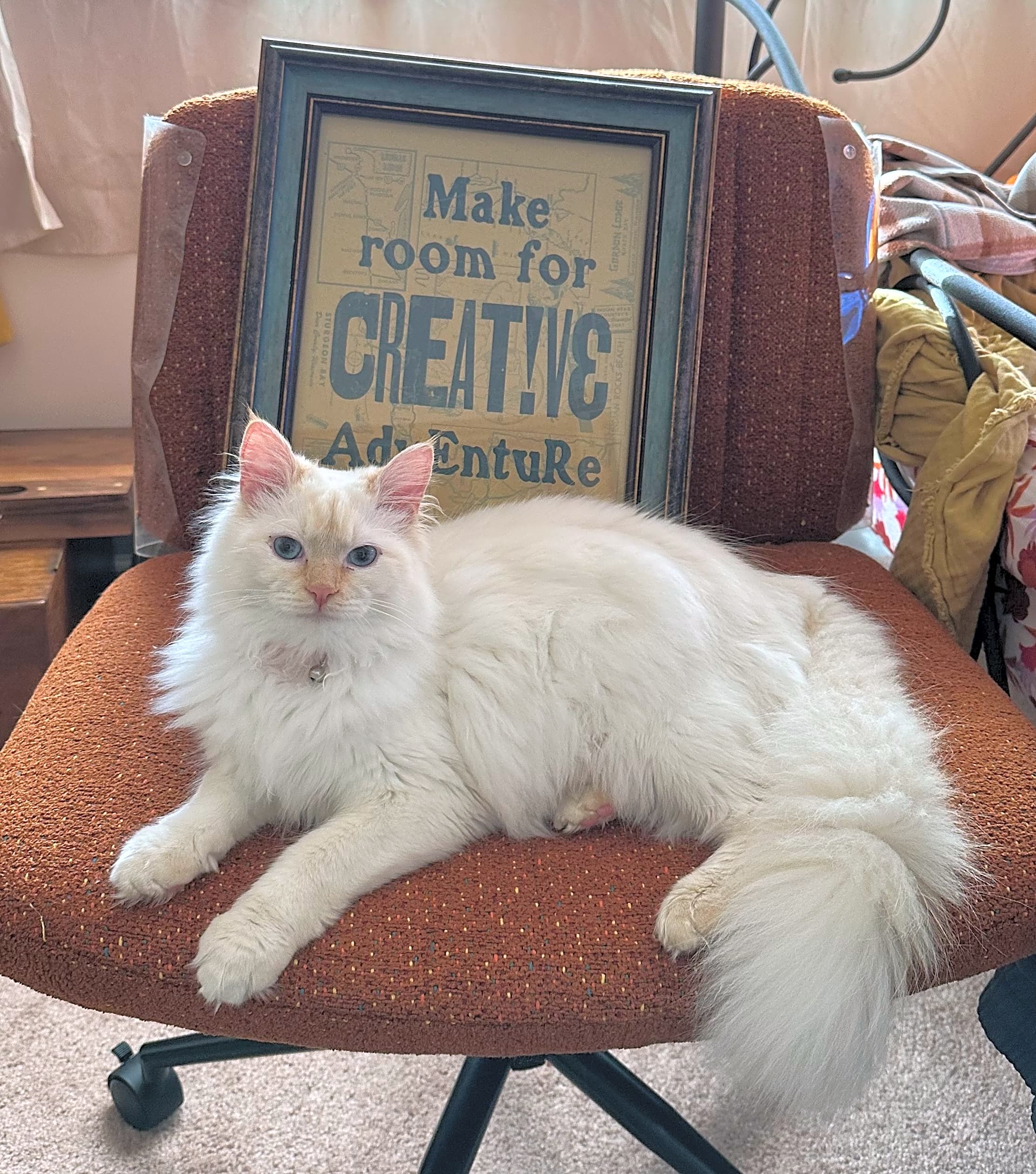 Photo of Hermes