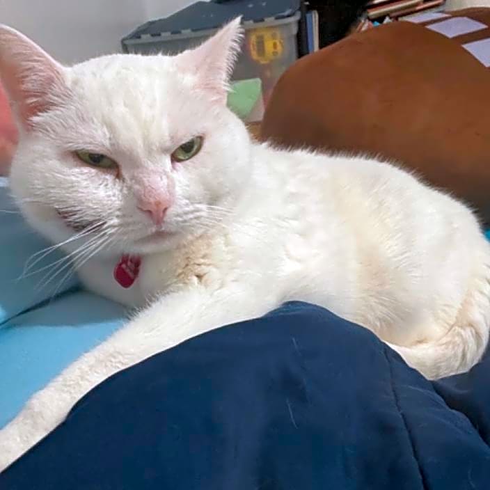 Photo of Nellie