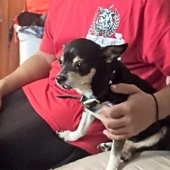 Photo of Sassy