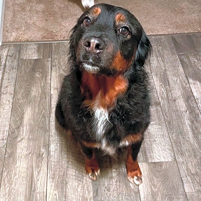 Photo of Kaisa