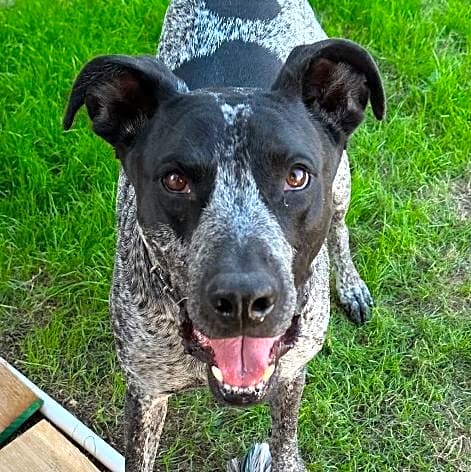 Photo of Oakley