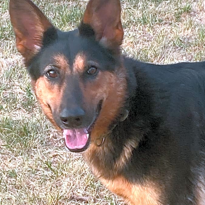 Photo of Sweetie