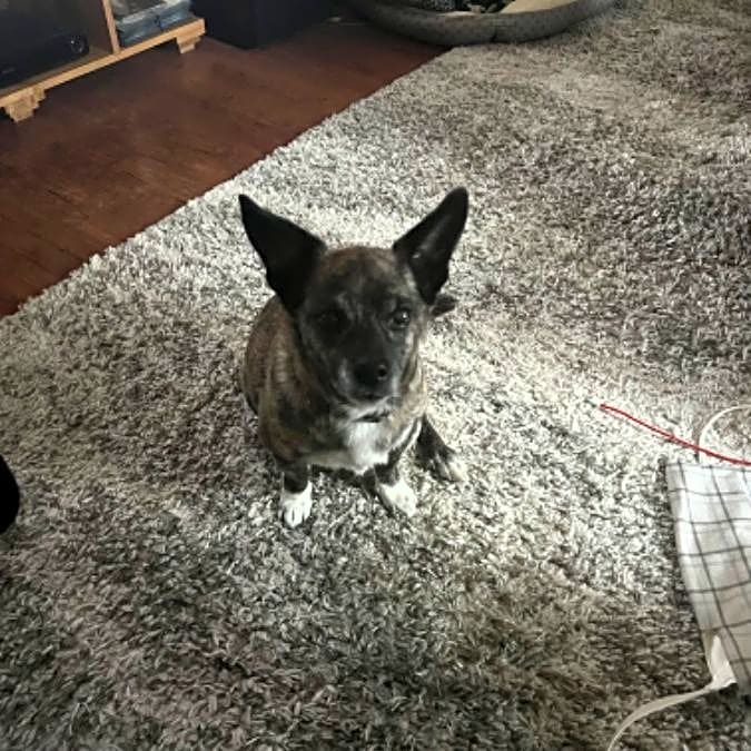 Photo of Sox