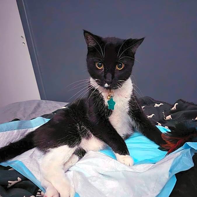 Photo of Morgana