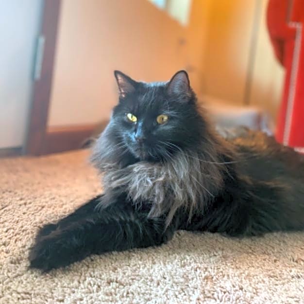 Photo of Salem