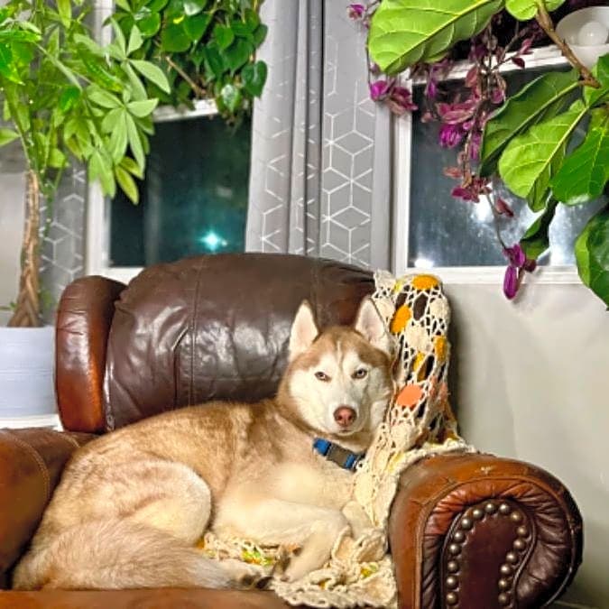 Photo of Gunner