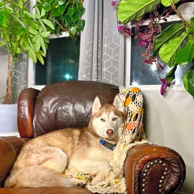 Photo of Gunner