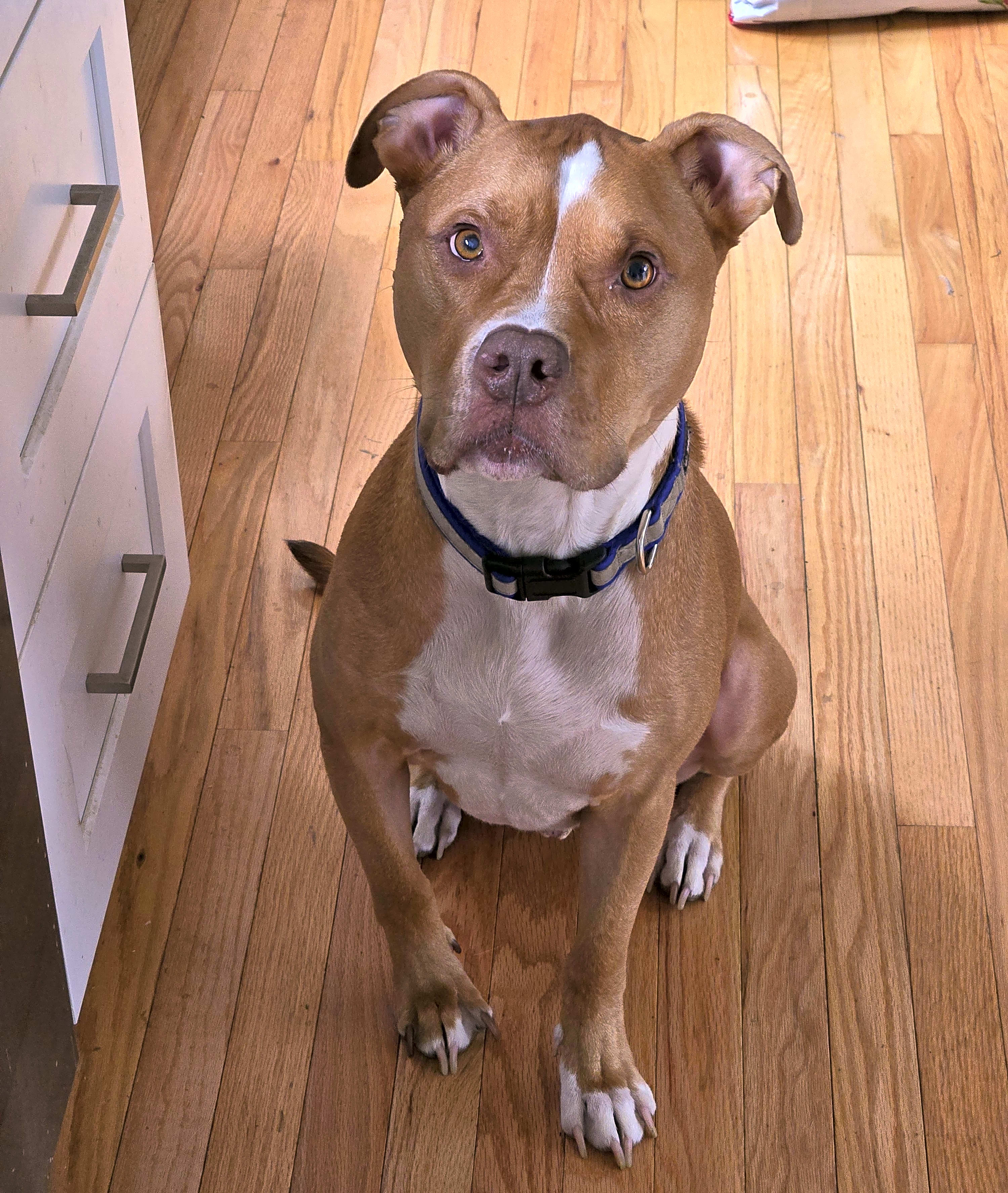 Photo of Tater