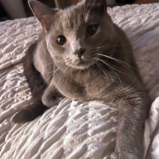 Photo of Smoosh