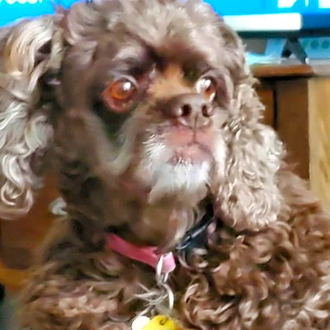 Photo of Poppy Sue