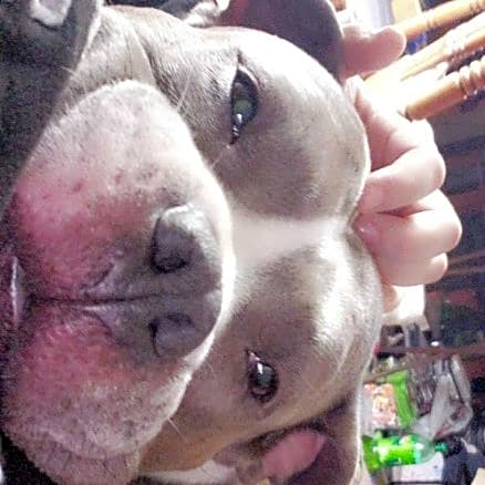 Photo of Diesel