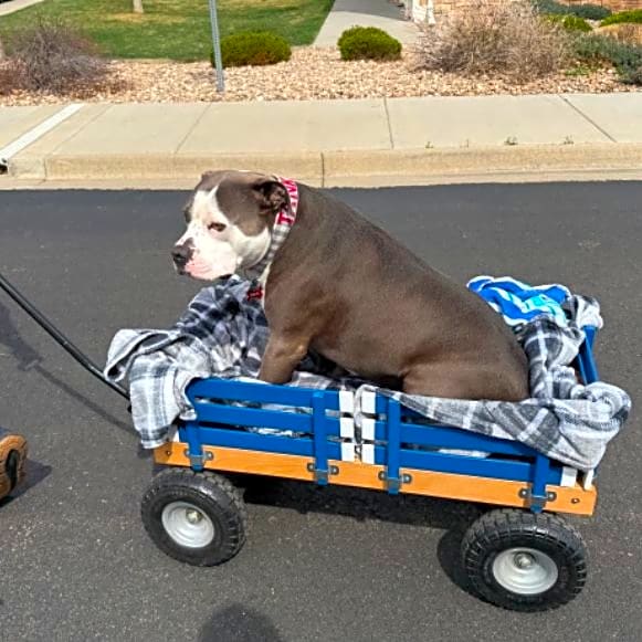 Photo of Tank