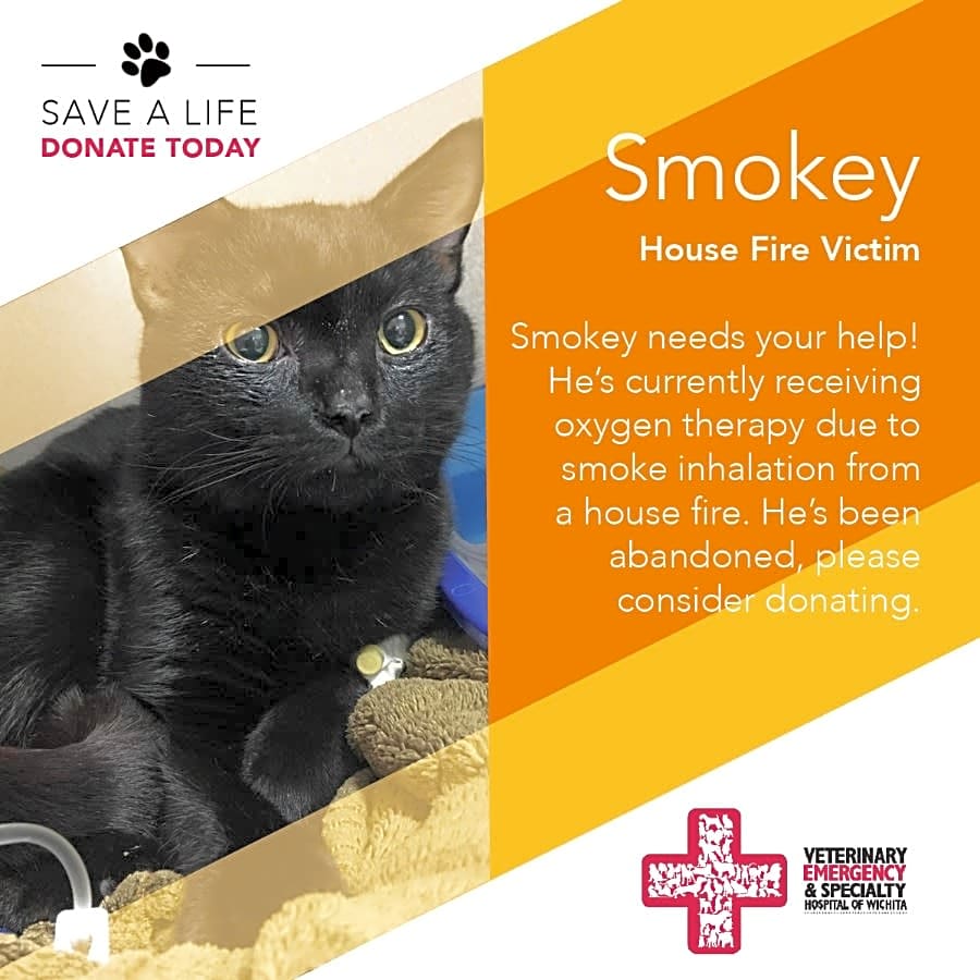 Photo of Smokey