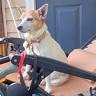 Photo of Maezie
