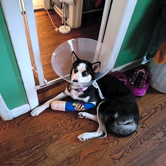 Photo of Kleo