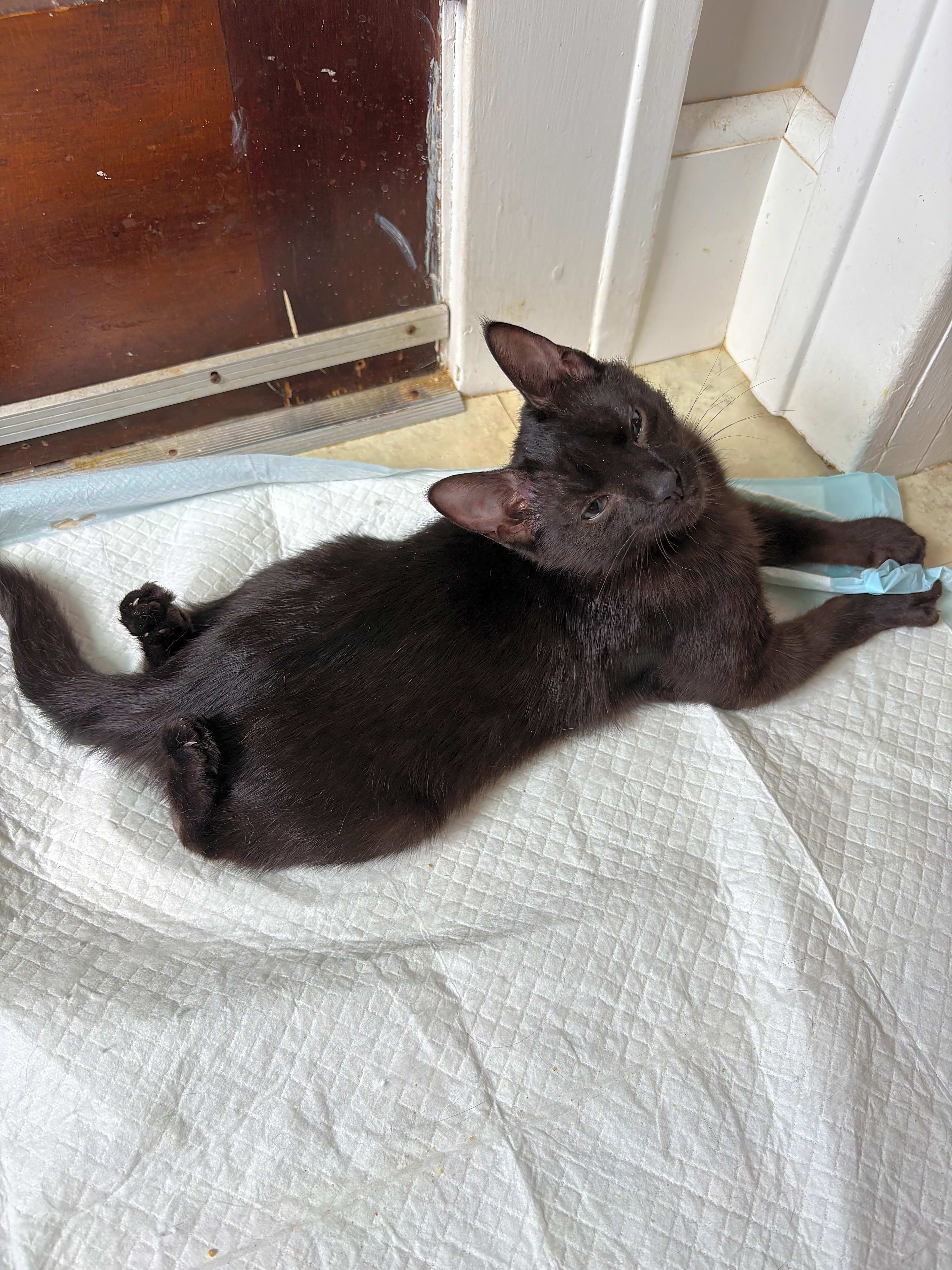 Photo of Bruce