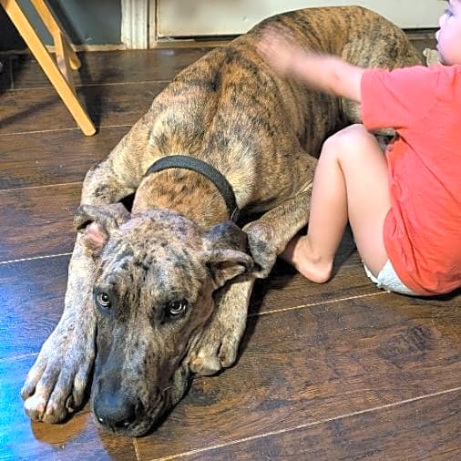 Photo of Zeus