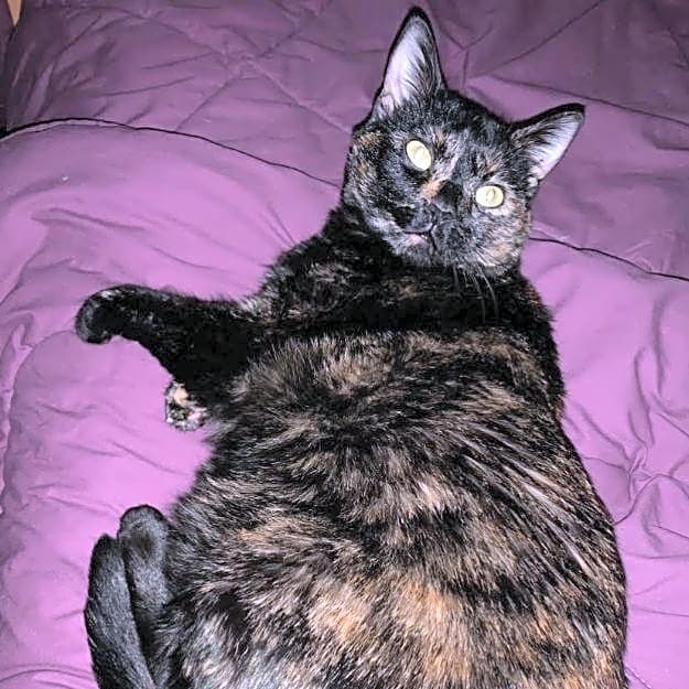 Photo of Lucy