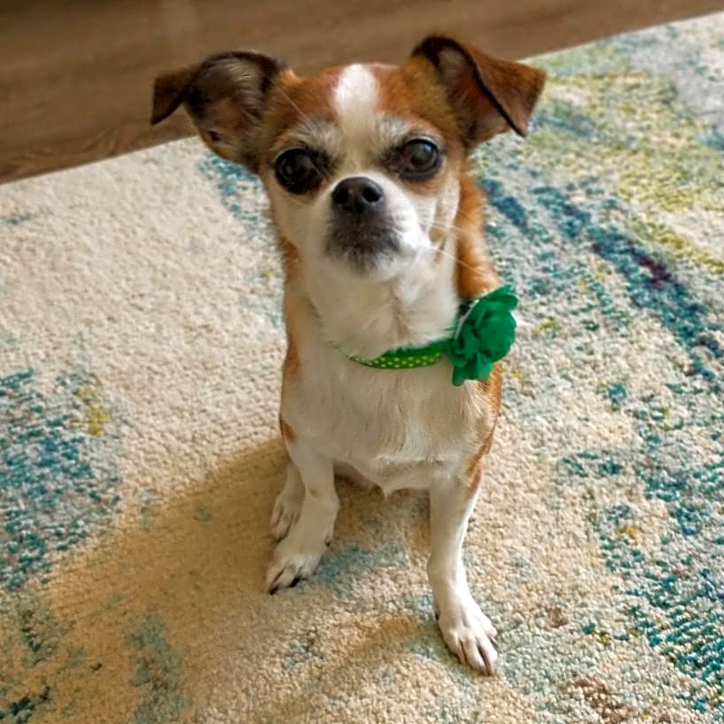 Photo of Sophie