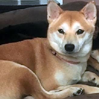 Photo of Arya