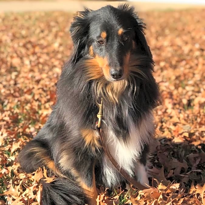 Photo of Lefty