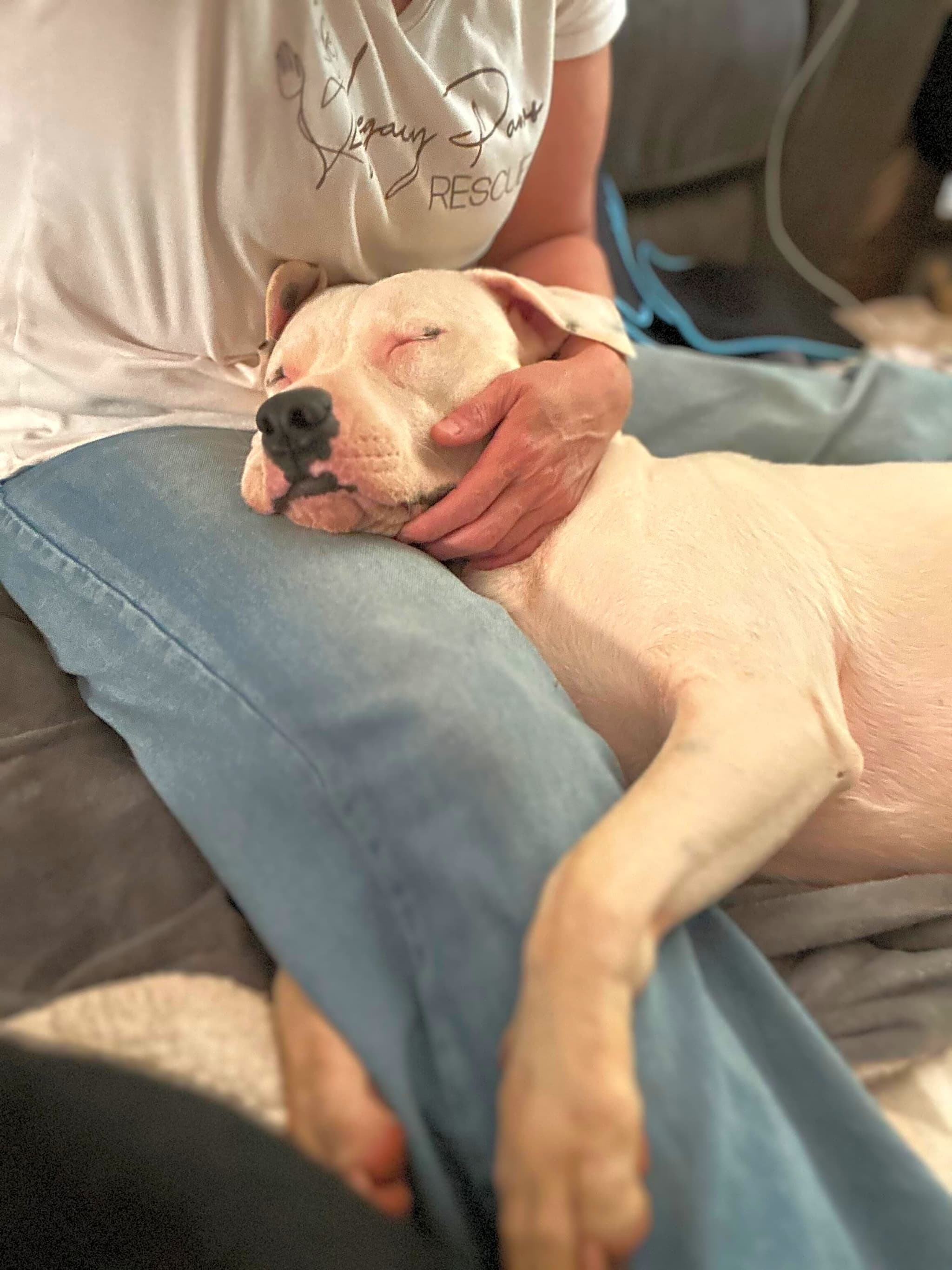 Photo of Piper