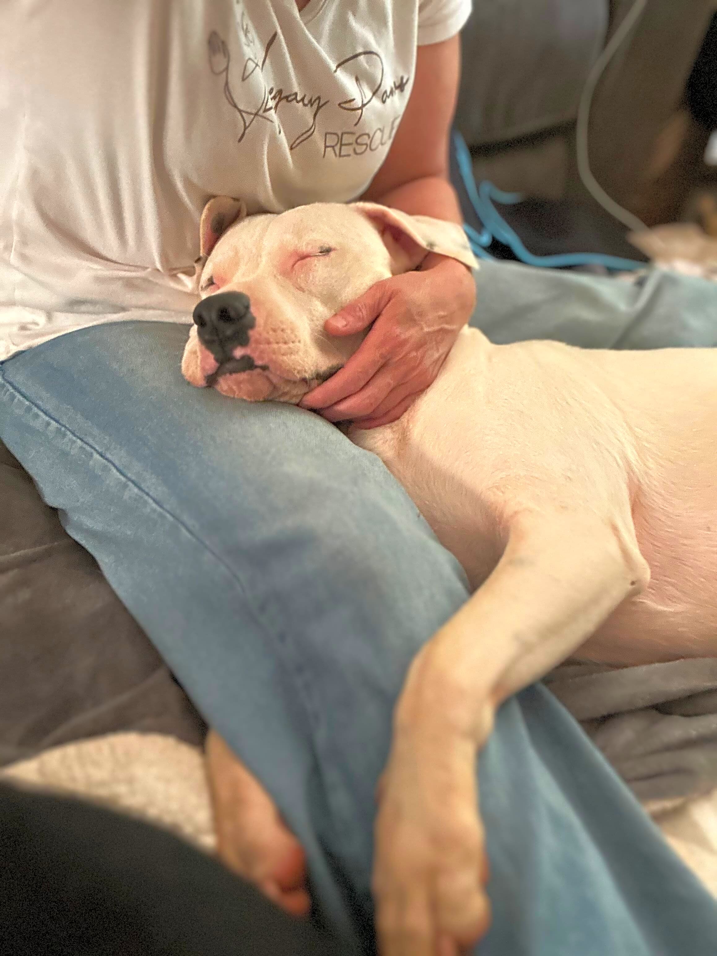 Photo of Piper